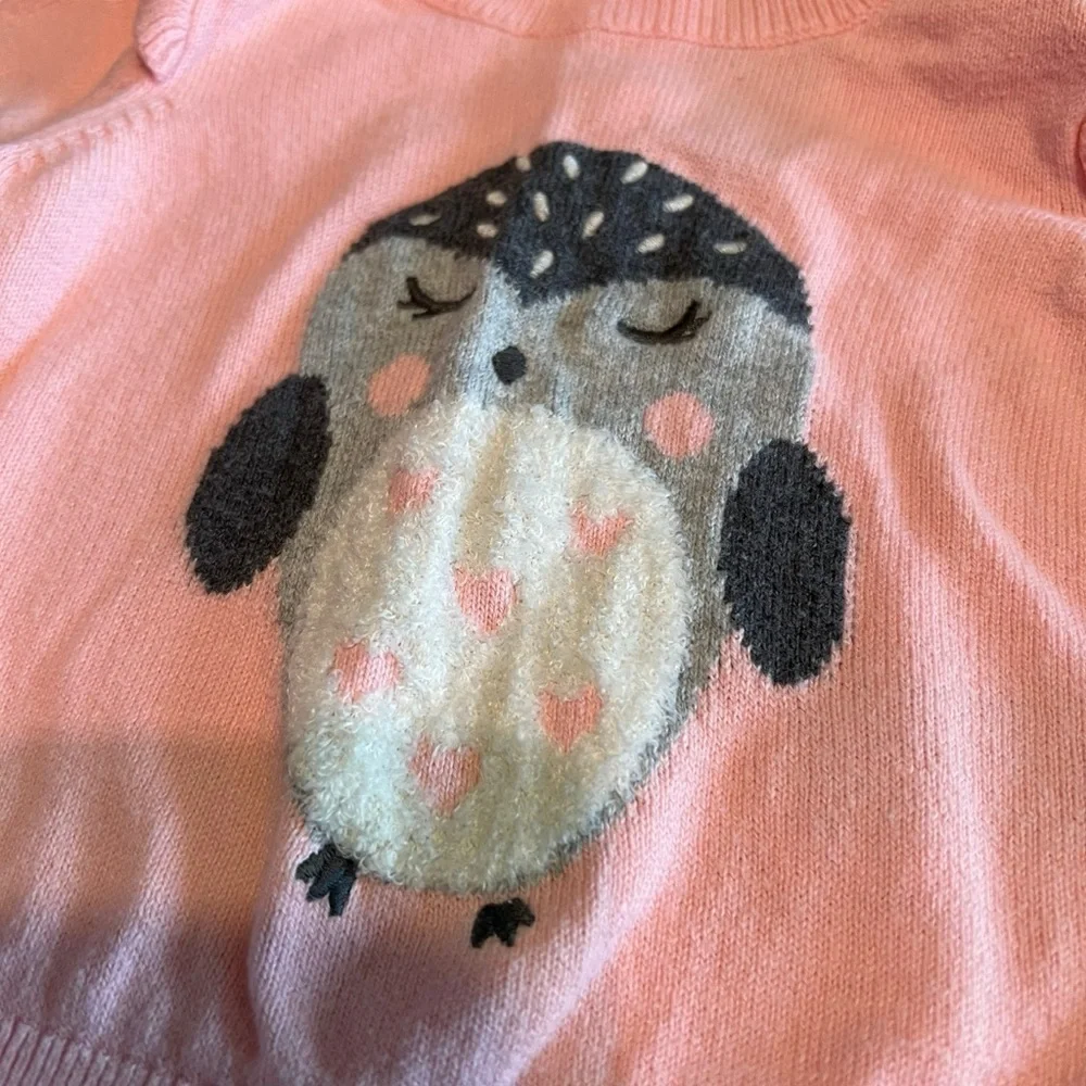 Baby Gap Owl Embroidered Ruffle Sweater 0-3 months​